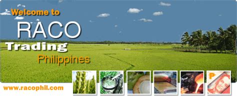 mirai trading|MIRAI TRADING PHILS. INC. .